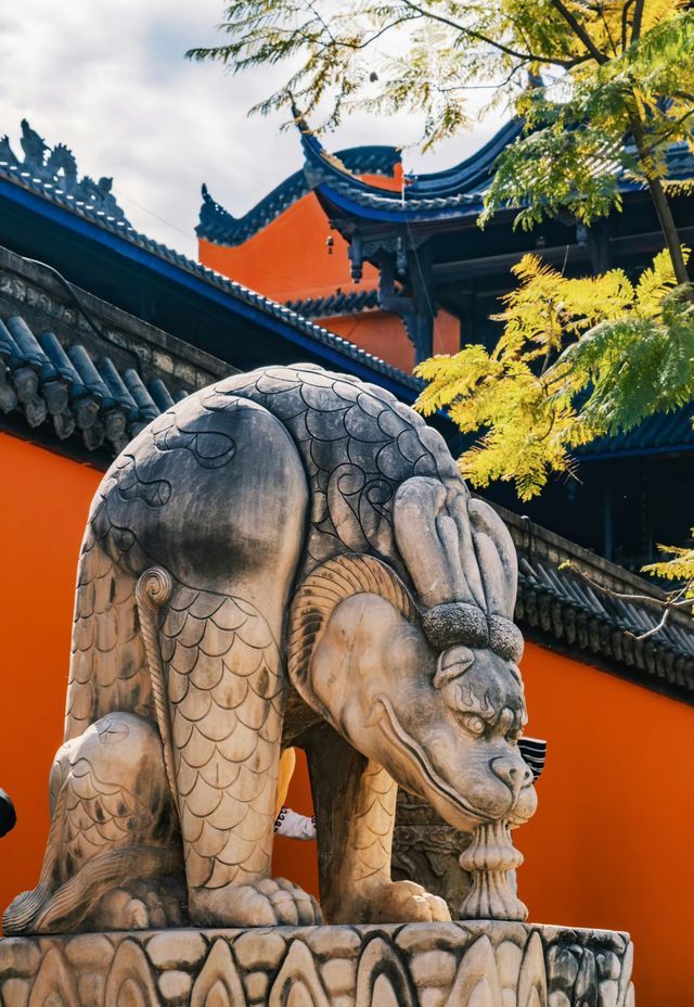 西昌｜去大石板村。