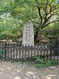 參觀東雞冠山日俄戰爭遺址。