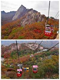 丹東鳳城鳳凰山，秋賞紅葉漫山遍野，層林盡染色彩斑斕。