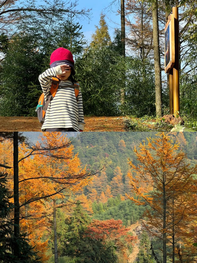 接下來的浙江堪稱秋日旅遊天花板！。