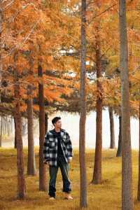 北龍湖濕地公園的水杉，開始紅了。