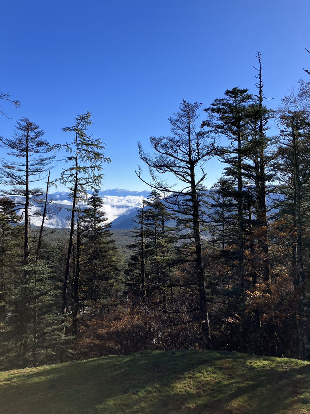 Dreamlike mountain views 