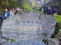 Travel Experience to Nikko's Toshogu Shrine on November 3rd