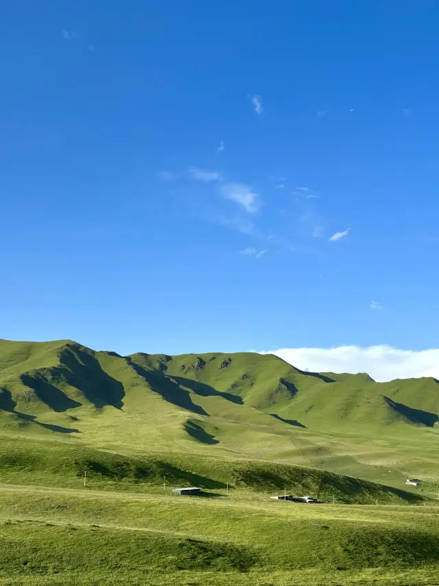 8-Day Hanzhong-Longnan-Gannan Itinerary: A Must-Read Guide! 
