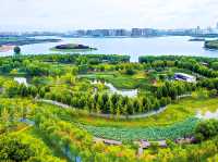 週末近郊遛娃打卡熱門地——鄭州龍湖濕地公園。