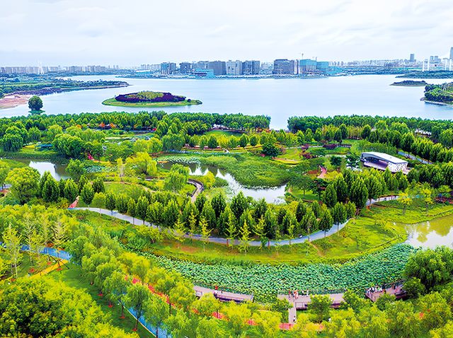 週末近郊遛娃打卡熱門地——鄭州龍湖濕地公園。