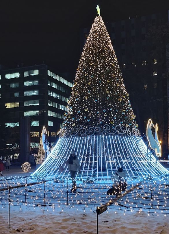 2024北海道札幌冰雪祭預告|11-2月。