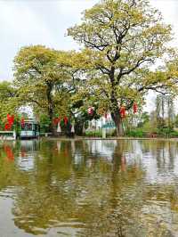 江門台山草坪里：超驚艷的寶藏旅遊地，不來後悔一輩子。