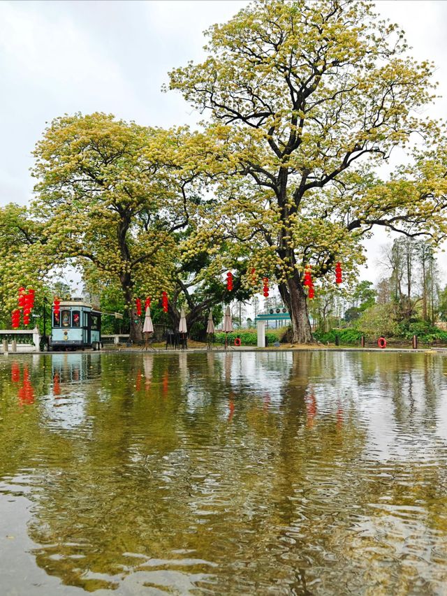 江門台山草坪里：超驚艷的寶藏旅遊地，不來後悔一輩子。