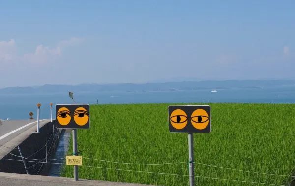 Explore the Setouchi Triennale on Naoshima Island