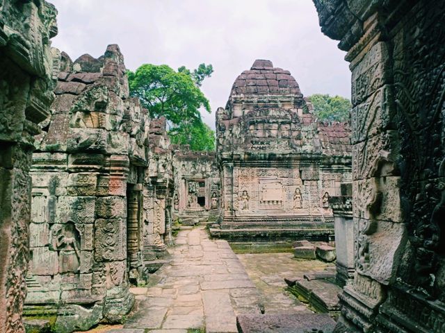 An Unexplored Preah Khan of Kampong Svay: Unknown Ruins of Cambodia Khmer Empire