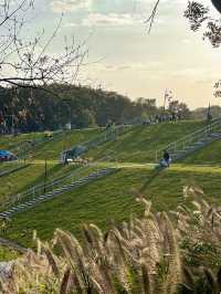 南京佛手湖公園|宮崎駿筆下的童話世界