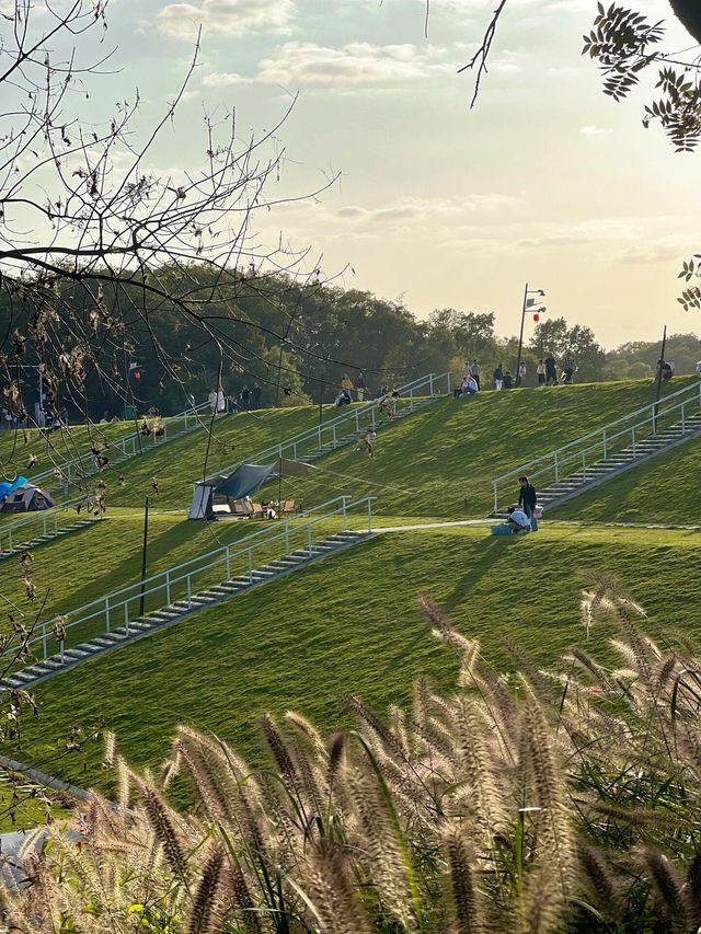 南京佛手湖公園|宮崎駿筆下的童話世界