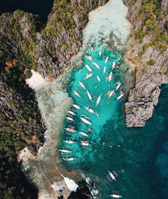 大堡礁：南半球的斑斕珊瑚海