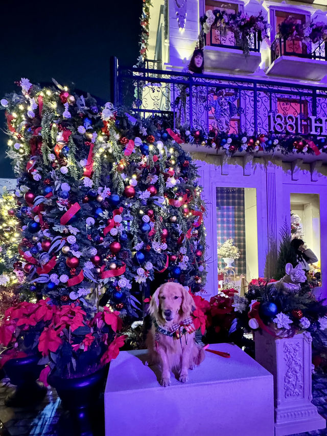 🇭🇰快閃香港耶誕🎄主題打卡04｜1881 heritage越夜越美麗！