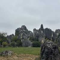 2 days in Kunming, Yunnan