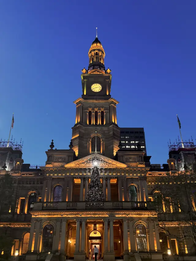 探索雪梨最美的耶誕樹