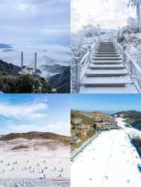雲上草原滑雪秘笈：老手的三年實戰心得