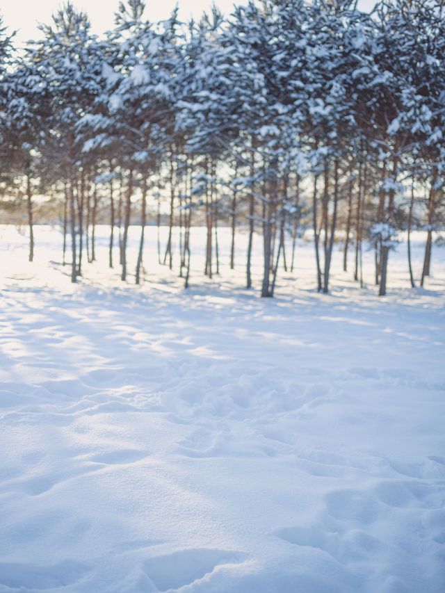 哈爾濱-長春-瀋陽滑雪看這篇就夠保姆級建議