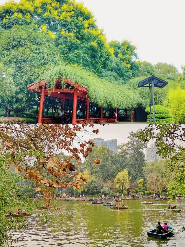 在四川成都，感受人民公園的悠閒生活氛圍