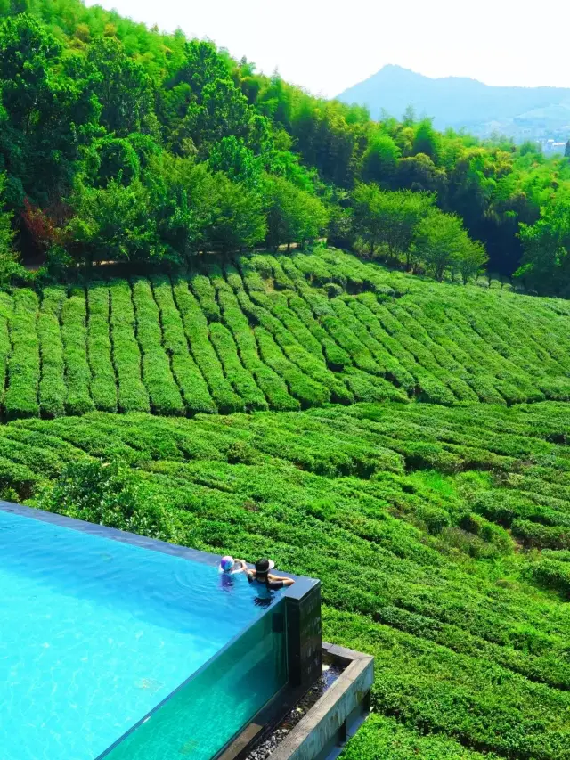 A hidden paradise in the forest