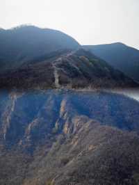 濱州·鶴伴山｜雲遊鶴伴山，心棲自然間
