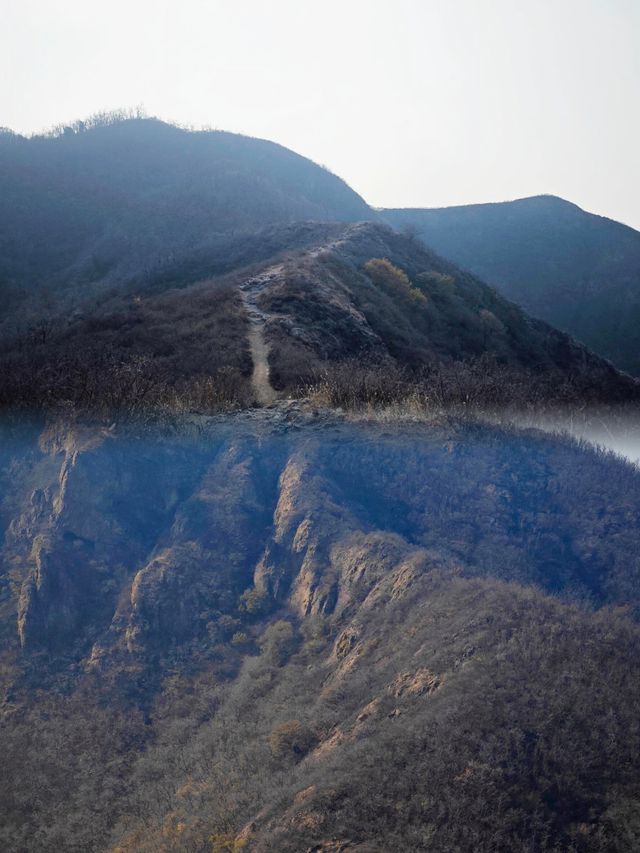 濱州·鶴伴山｜雲遊鶴伴山，心棲自然間