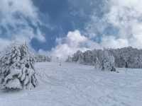 Explore the Dynamic Skiing Experience at Shiga Kogen Ski Resort in Nagano