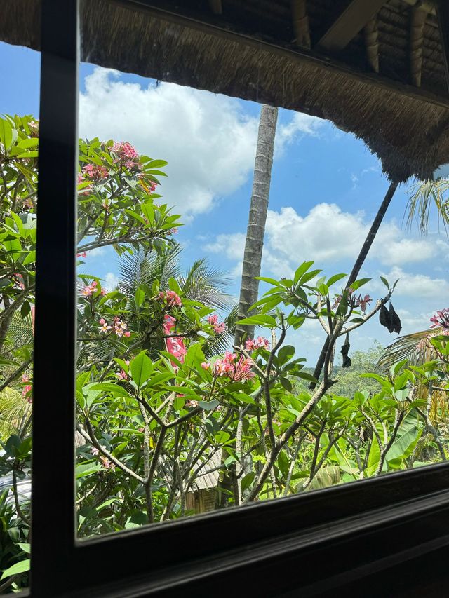 印度尼西亞10日遊 超詳細攻略來襲 印度尼西亞10日遊 超詳細攻略來襲