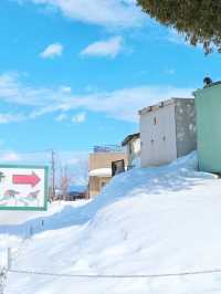 8天深度遊日本 熱門風景全攻略