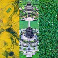 2025年賞花攻略，每個月給你更新