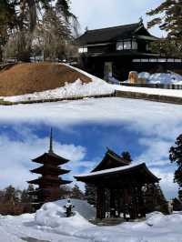 青森旅遊全攻略：山河湖海與美食一網打盡