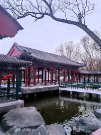春節讀紅樓遊大觀園  體會古典文學藝術