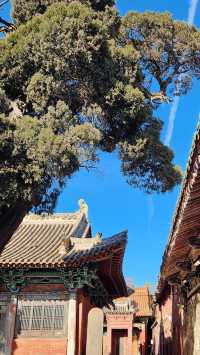 任人打扮嘅國保，澤州崇壽寺