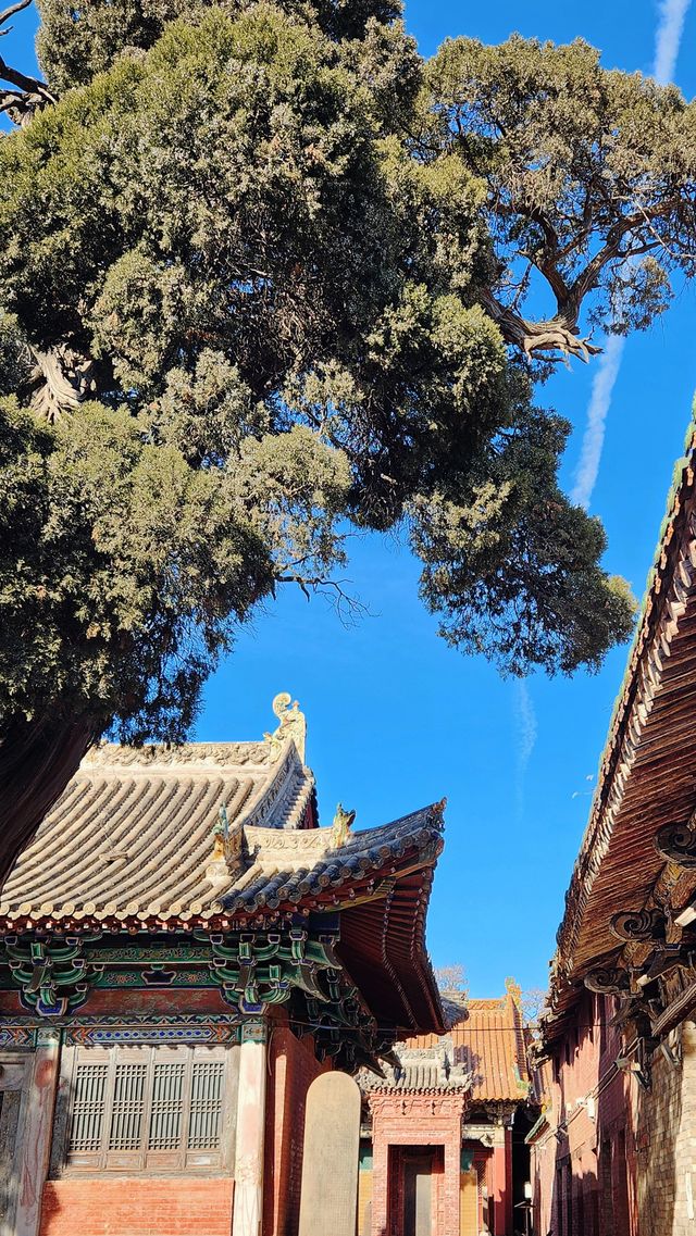 任人打扮嘅國保，澤州崇壽寺