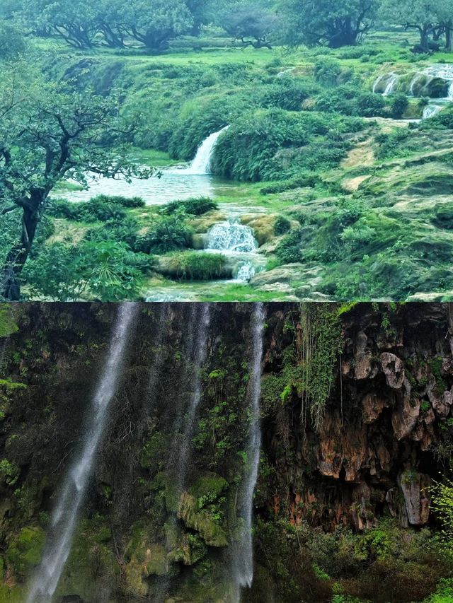 阿曼塞拉萊，遇見不一樣的中東風情