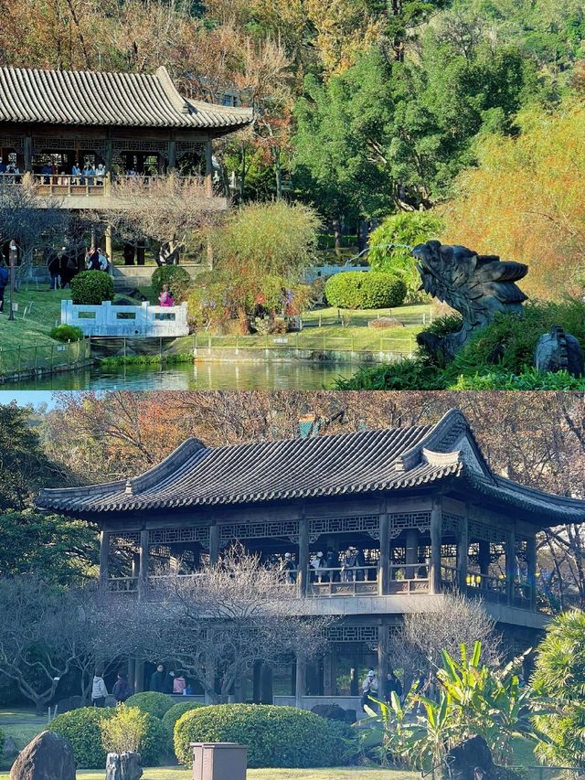 哇塞！台北故宮後花園竟有如此清幽靜謐好景色