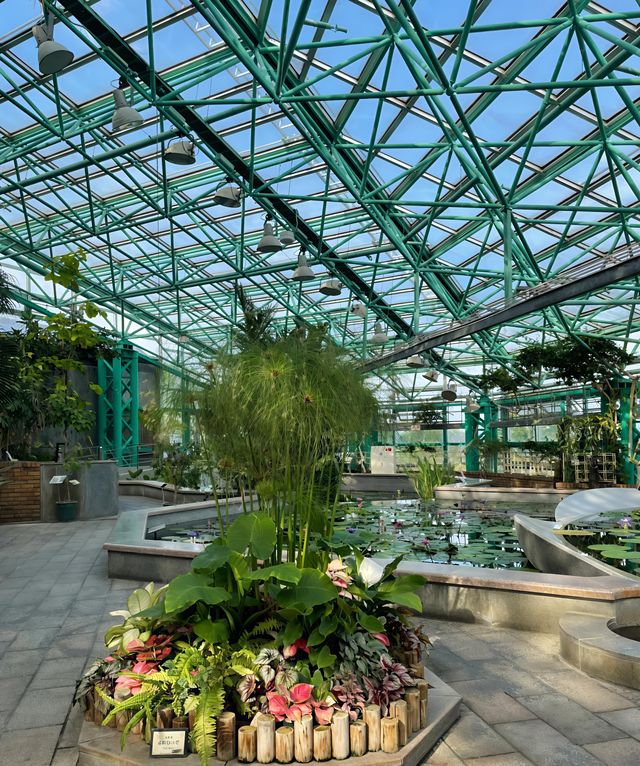 草津市立水生植物公園｜四季畫卷，水生花草繪就的自然詩篇