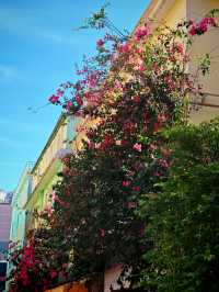 深圳City walk必到景點大芬油畫村