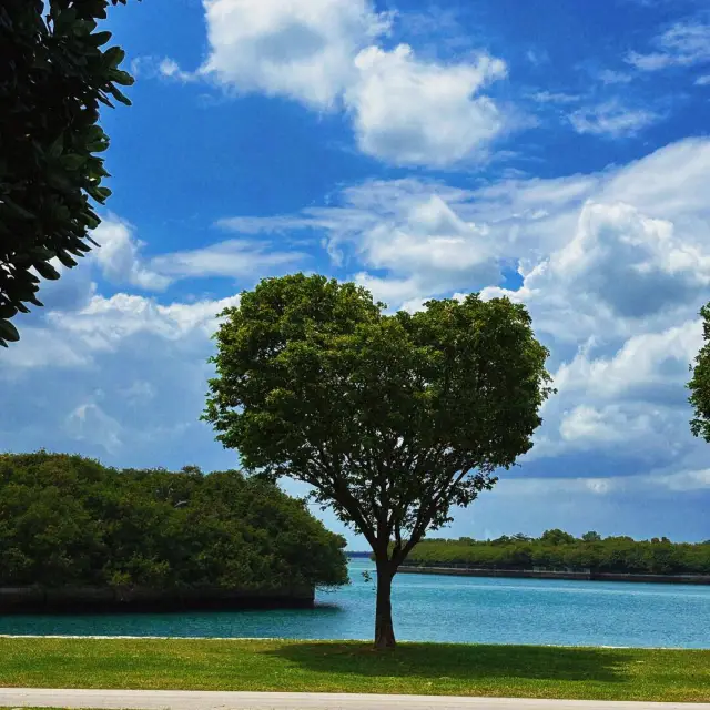 Singapore's Dreamy Outlying Island | St. John's Island 