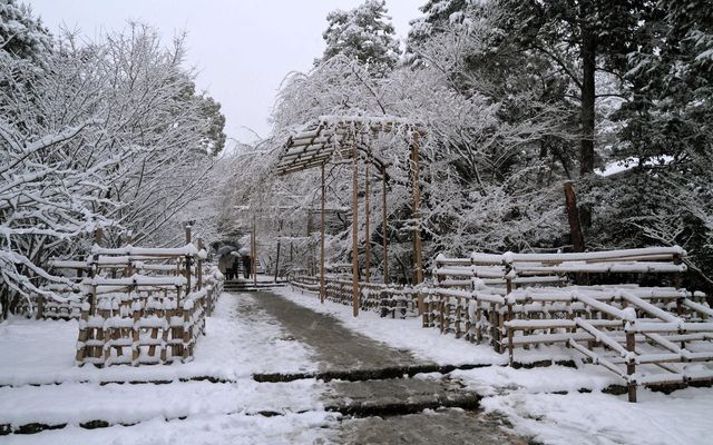 【京都· 龍安寺雪景·2025】