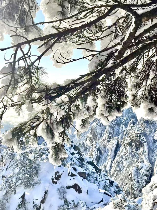 遠赴人間驚鴻宴,黃山雲海日出 遠赴人間驚鴻宴,黃山雲海日出
