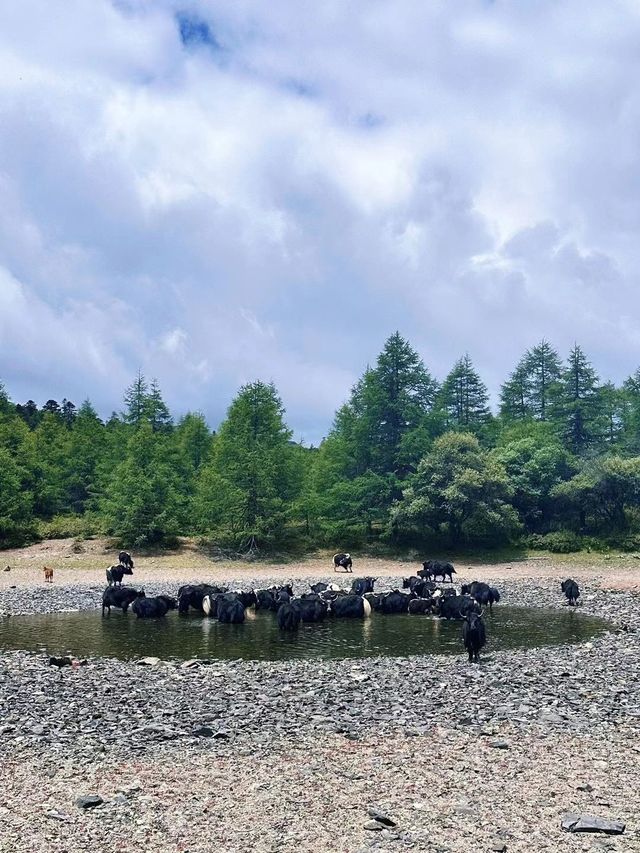 西安1日遊 超實用攻略速收藏