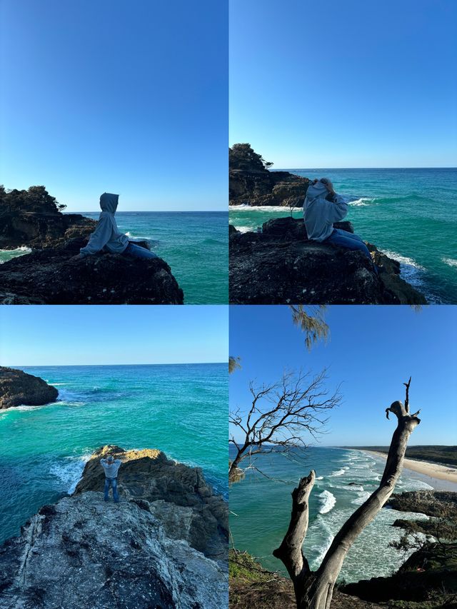 邂逅北斯特拉布魯克島，解鎖自然饋贈