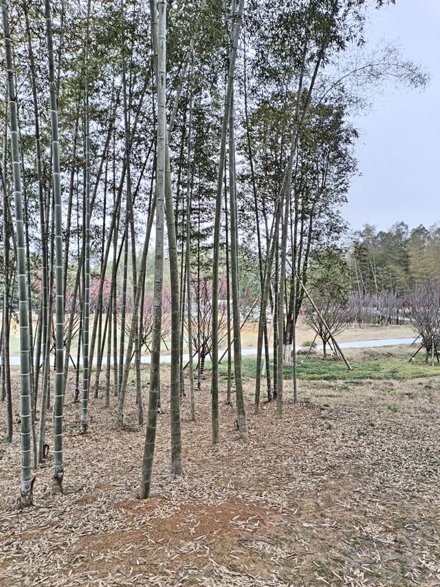 寒泉精舍