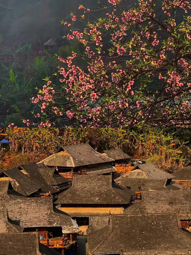A Week-Long In-Depth Tour of Pu'er: Your Ultimate Guide!