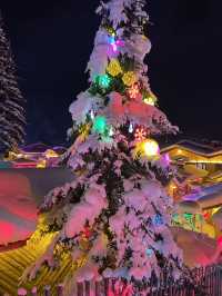 2日攻略｜哈爾濱-雪鄉 猶如置身電影世界