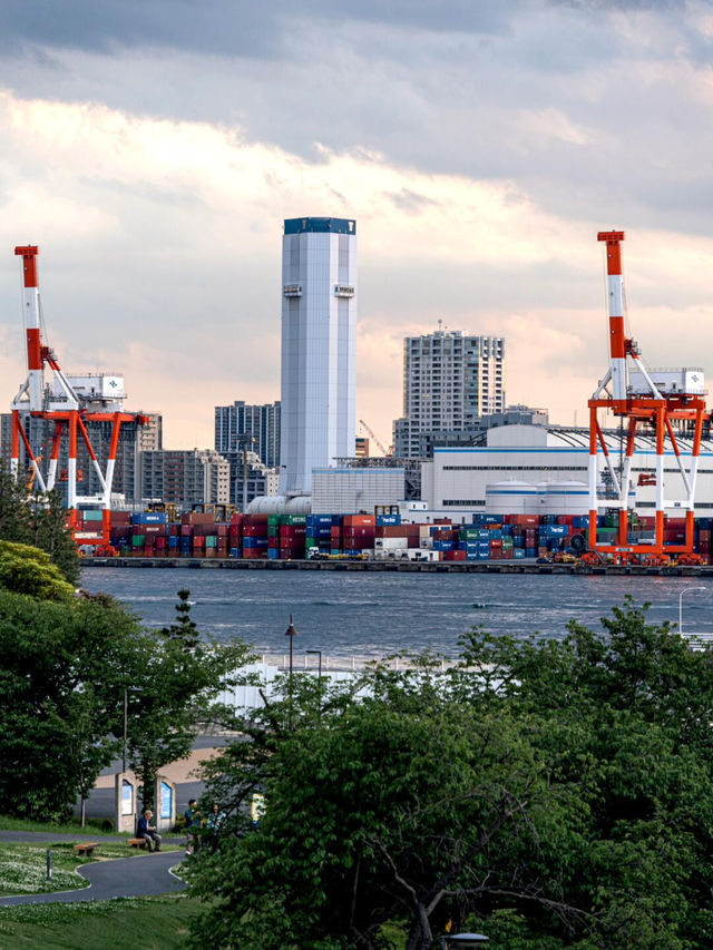 於台場之巔俯瞰🏙東京微縮全景圖