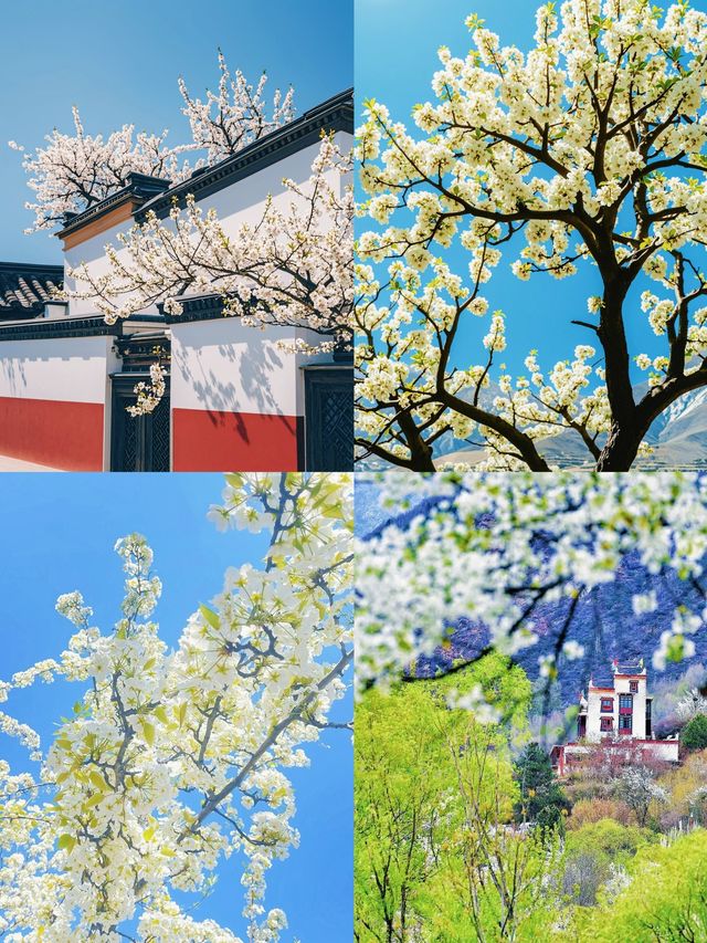 3-4月旅行天花板，美得像墜落凡間的畫。
