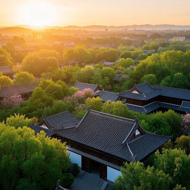 【2025德州暴走3天2夜全攻略】本地人帶路